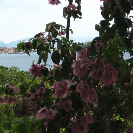 Stanko Appartamento Traù