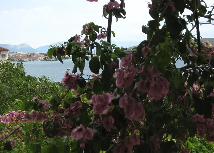 Stanko 아파트 트로기르